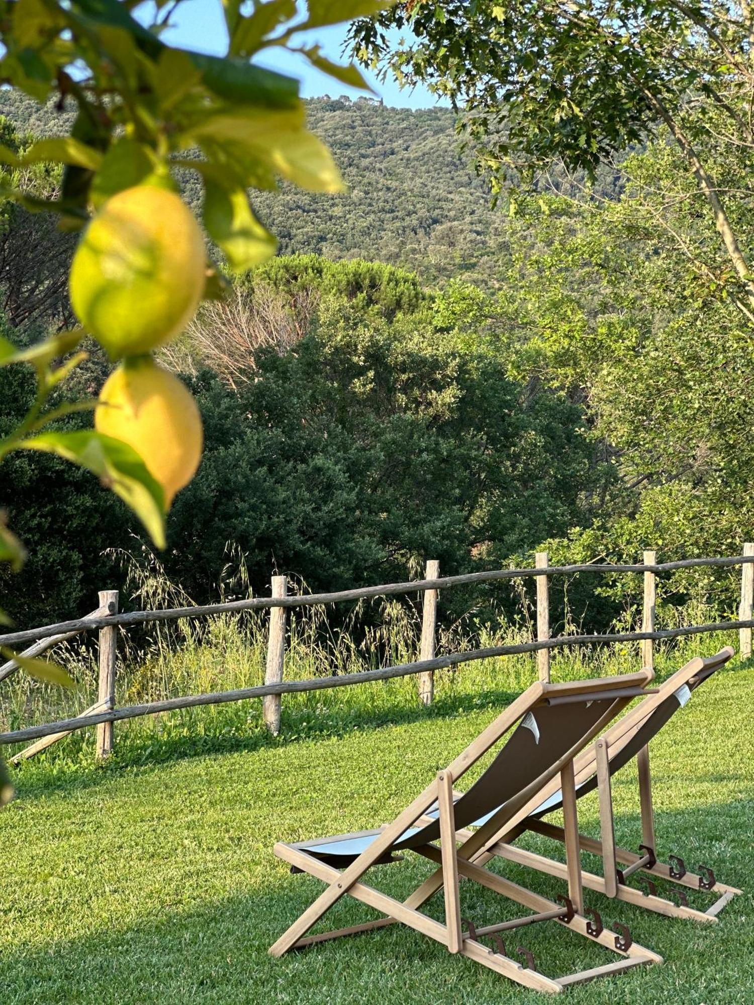 Gio Toscana Castiglione della Pescaia Kültér fotó