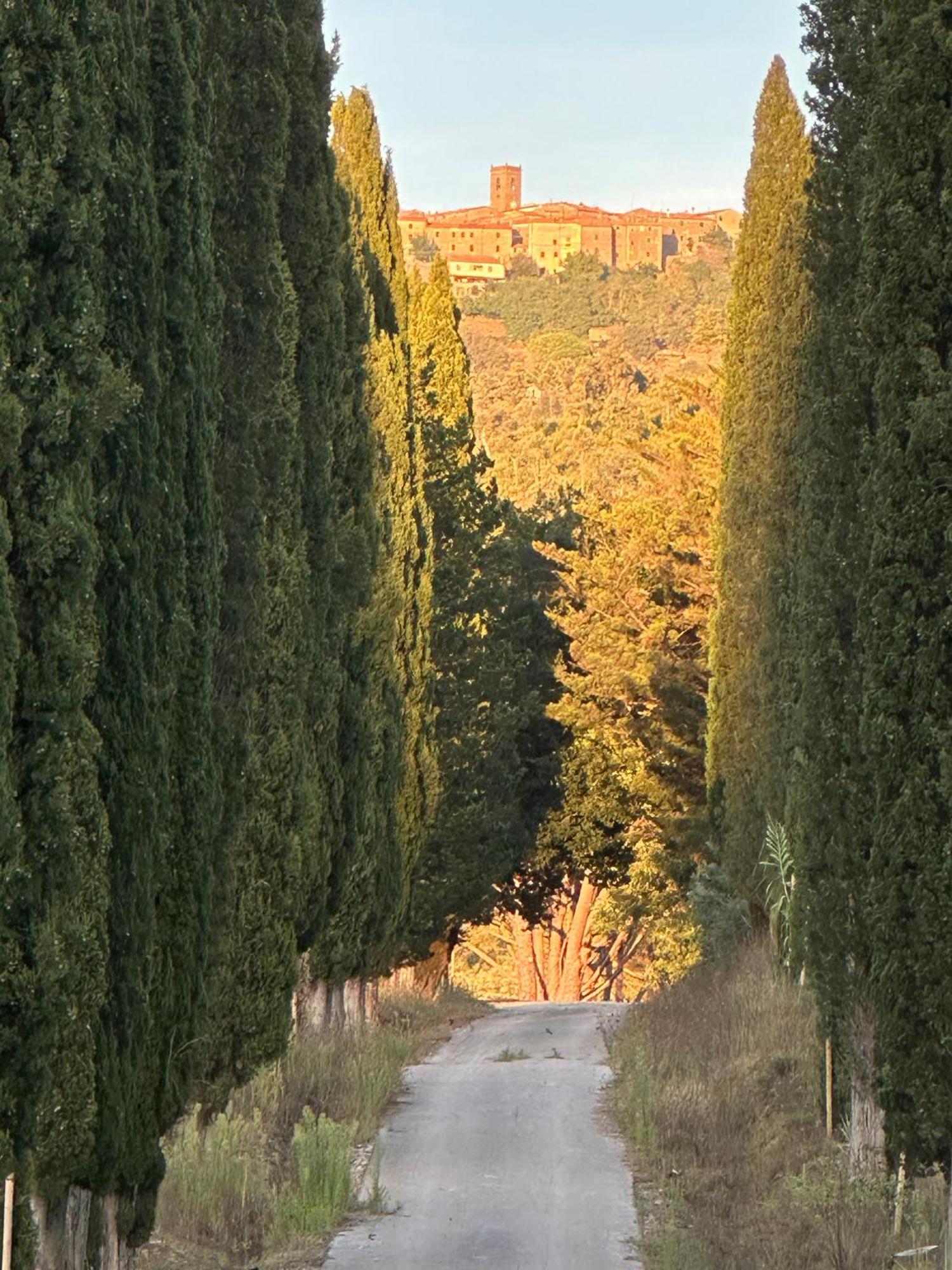 Gio Toscana Castiglione della Pescaia Kültér fotó